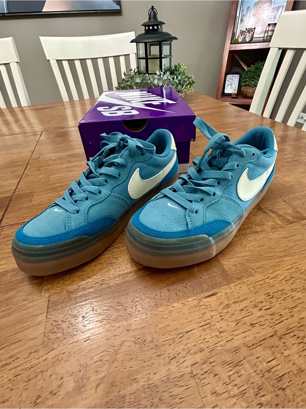 Nike Teal Blue Low-Top Sneakers with Cream Swoosh